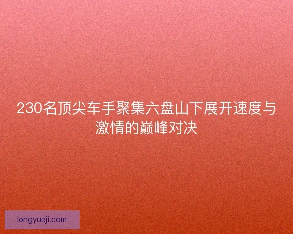 230名顶尖车手聚集六盘山下展开速度与激情的巅峰对决 230名顶尖车手聚集六盘山下展开速度与激情的巅峰对决